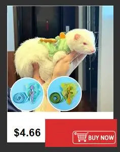 Squeaky Rubber Training Ball for Dogs