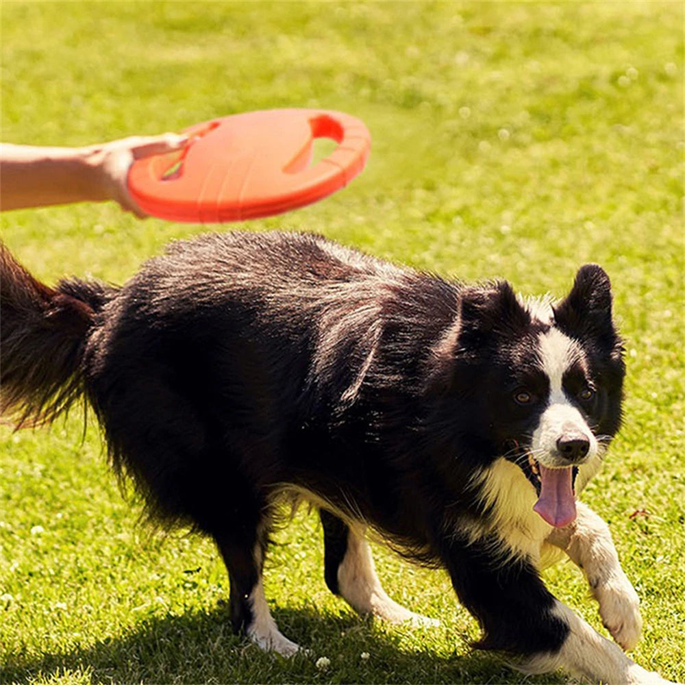Floating Dog Training Frisbee - Bite Resistant