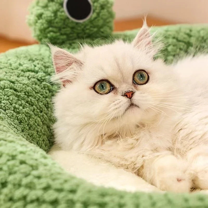 Plush Frog Pet Bed - Round & Warm