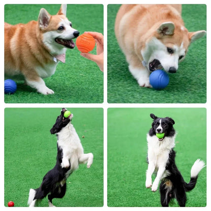 Bouncy Rubber Dog Ball - Training Toy