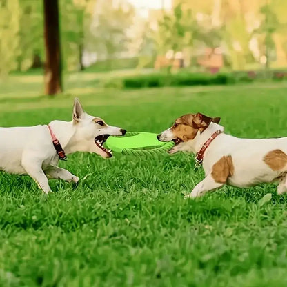Bite-Resistant Dog Frisbee Toy
