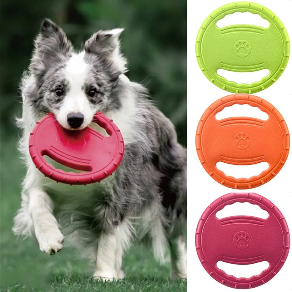 Dog running with a pink frisbee in mouth, with additional frisbees in green, orange, and pink displayed.