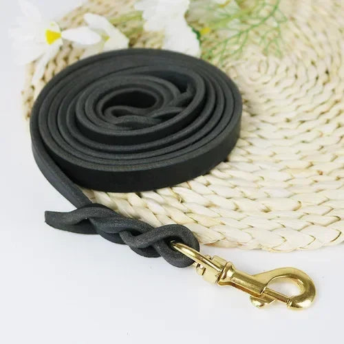 Premium Leather Dog Leash with Hook