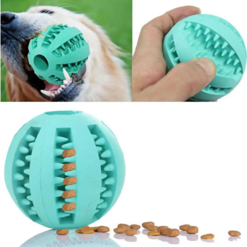 Squeaky Rubber Training Ball for Dogs