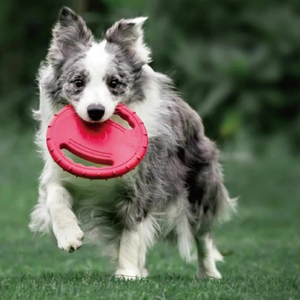 Floating Dog Training Frisbee - Bite Resistant