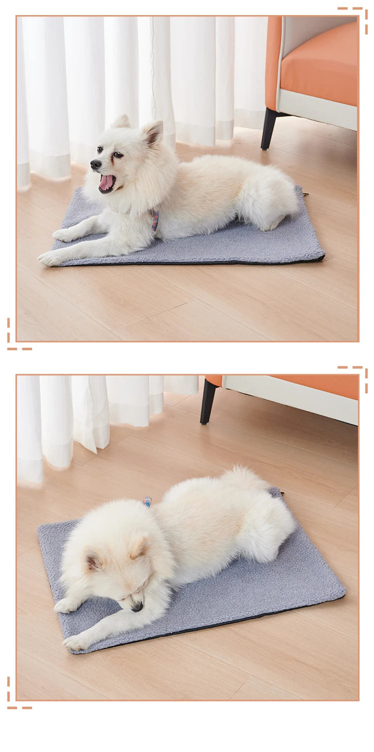 Self-Heating Pet Pad for Winter