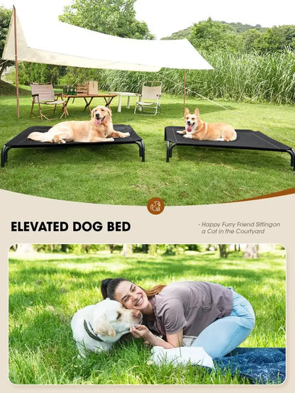 Elevated Cooling Dog Bed - Breathable Mesh