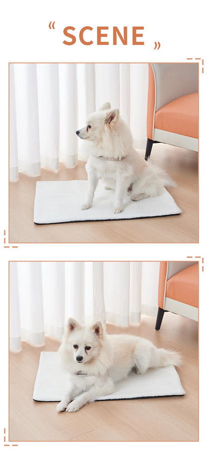 Self-Heating Pet Pad for Winter
