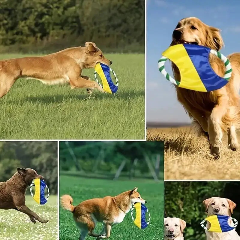 Bite-Resistant Dog Frisbee Toy