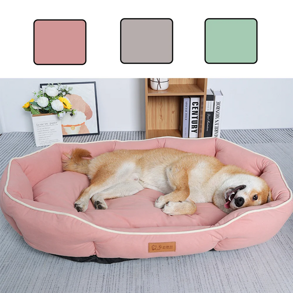 Dog lying on a pink pet bed with color swatches above it