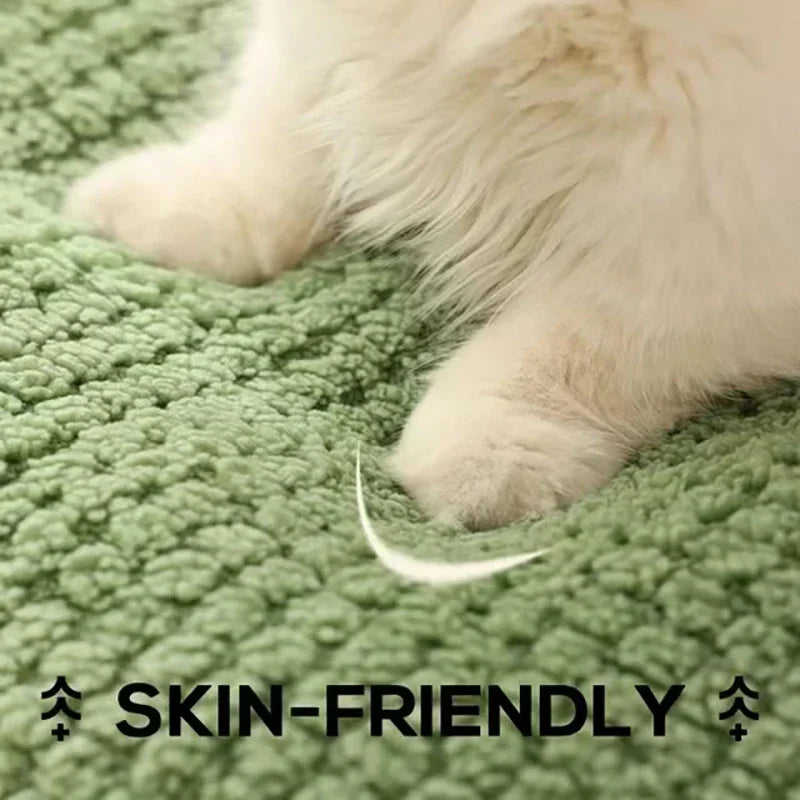 Plush Frog Pet Bed - Round & Warm