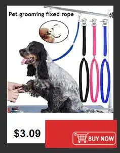 Squeaky Rubber Training Ball for Dogs