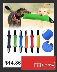 Squeaky Rubber Training Ball for Dogs