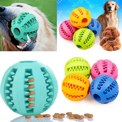 Squeaky Rubber Training Ball for Dogs