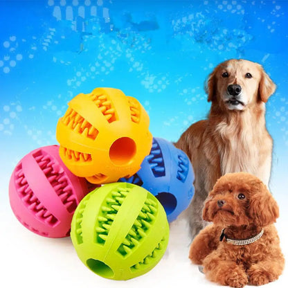 Squeaky Rubber Training Ball for Dogs