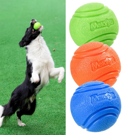 Bouncy Rubber Dog Ball - Training Toy
