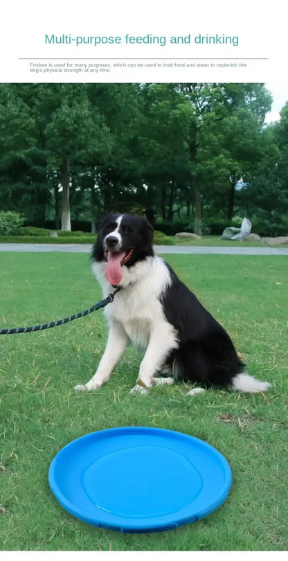 22cm Silicone Dog Frisbee - Chew Resistant