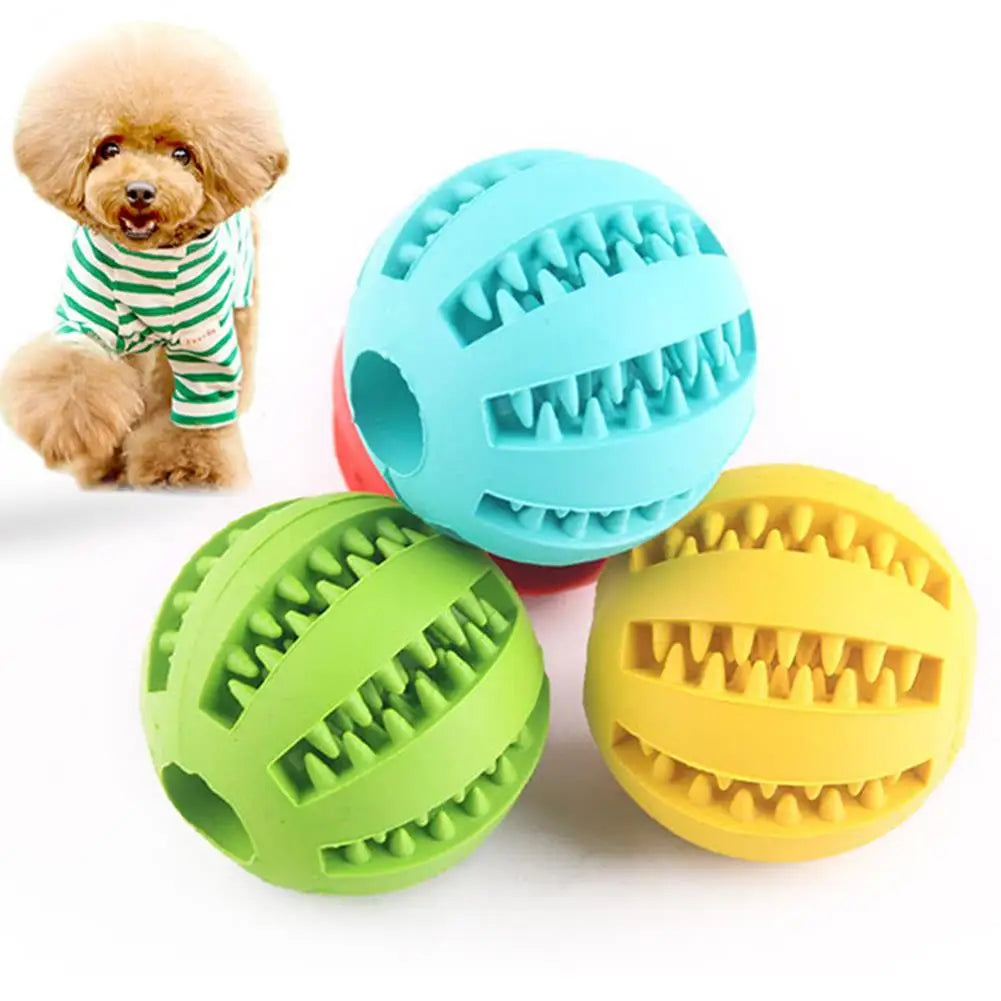 Squeaky Rubber Training Ball for Dogs