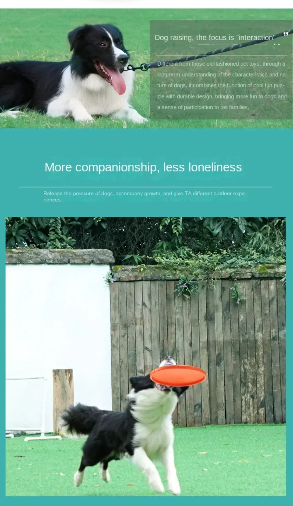 22cm Silicone Dog Frisbee - Chew Resistant