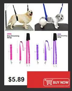 Squeaky Rubber Training Ball for Dogs