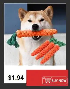 Squeaky Rubber Training Ball for Dogs